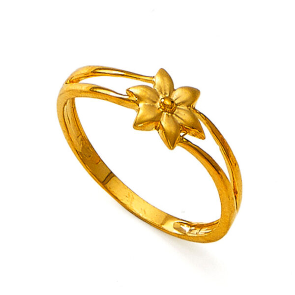 Fancy Ring | BIS 916 Purity